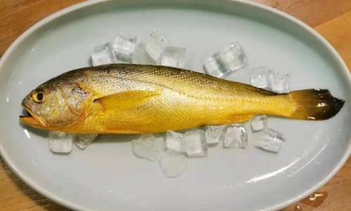 青萝卜的营养价值及功效-青萝卜功效3岁孩子网-分享青萝卜的营养价值及功效，青萝卜的营养价值及功效知识库