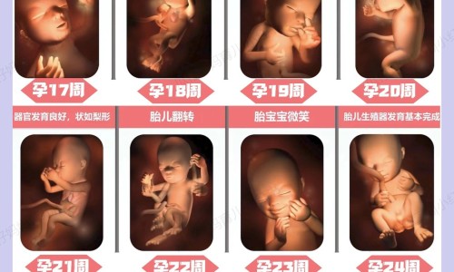 孩子吃青萝卜好吗-青萝卜功效3岁孩子网-分享青萝卜的营养价值及功效，青萝卜的营养价值及功效知识库