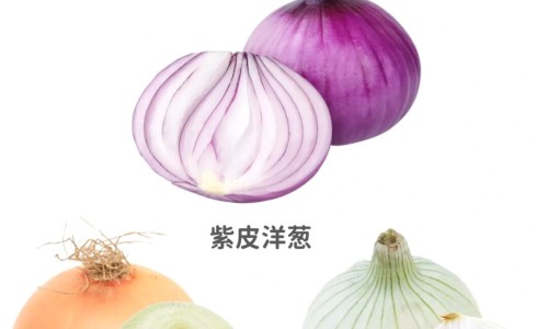 青萝卜的营养价值及功效-青萝卜功效3岁孩子网-分享青萝卜的营养价值及功效，青萝卜的营养价值及功效知识库