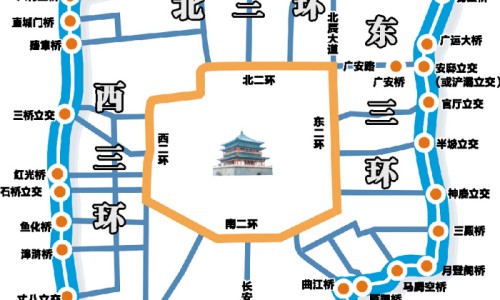青萝卜功效3岁孩子网-分享青萝卜的营养价值及功效，青萝卜的营养价值及功效知识库